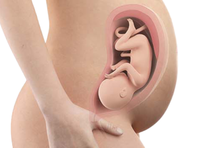 Week 33